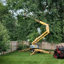 Best Hazardous Tree Removal  in Reedsburg, WI