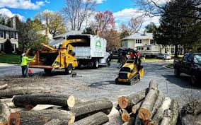 Best Tree Health Inspection  in Reedsburg, WI